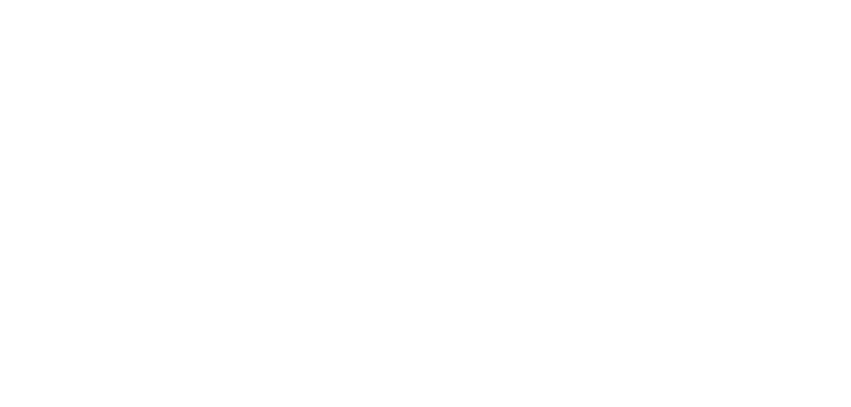 СвязьЛайн